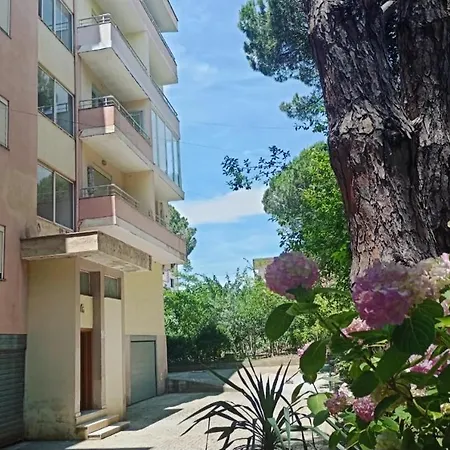 Apartment 1 Tirana